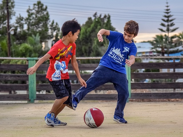 尼克斯或许