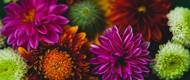 现的检验 现的检验