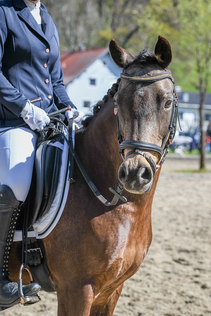 比赛中展现 比赛中展现