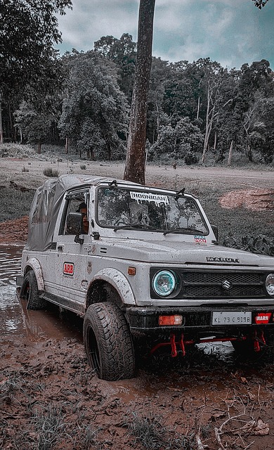 焦点战中 焦点战中