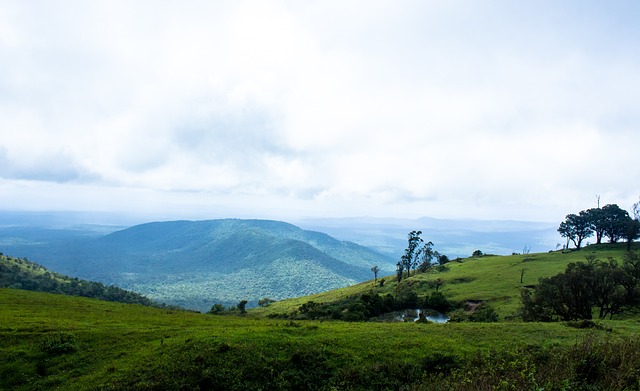 战术和辉煌 战术和辉煌