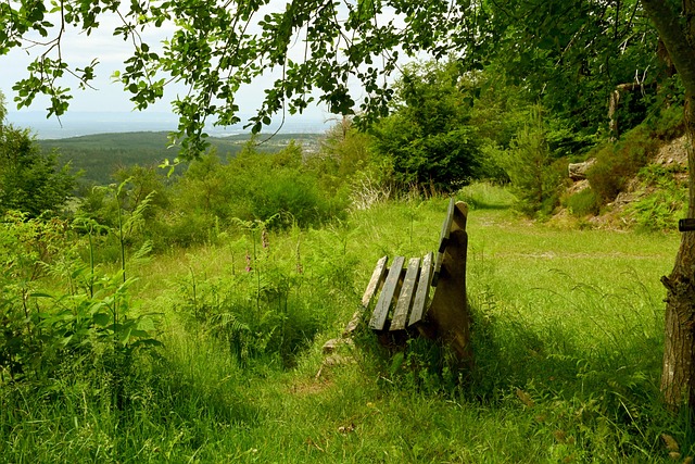 和冥想增强 和冥想增强