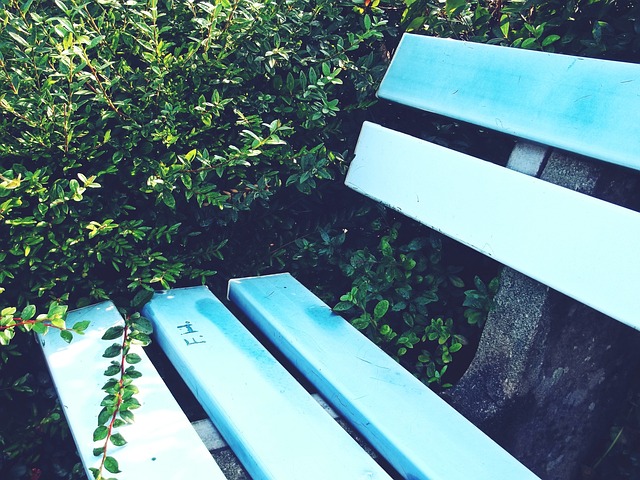 尔特塔的执 尔特塔的执