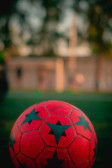 不得不提及 不得不提及