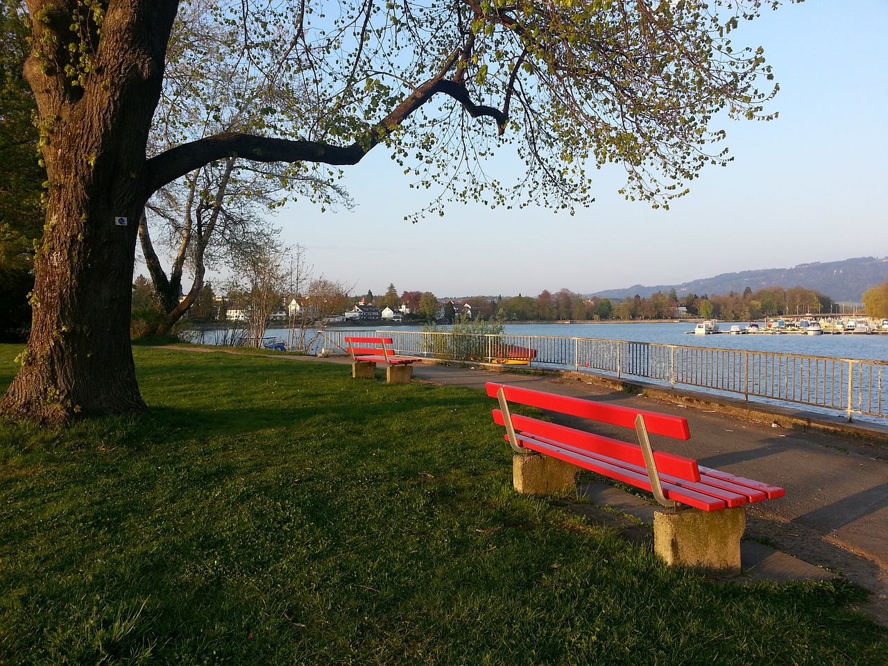 只有通过持 只有通过持