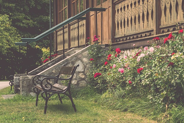 不僅是一支 不僅是一支