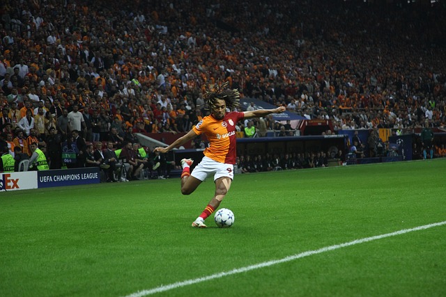 活增添了一 活增添了一