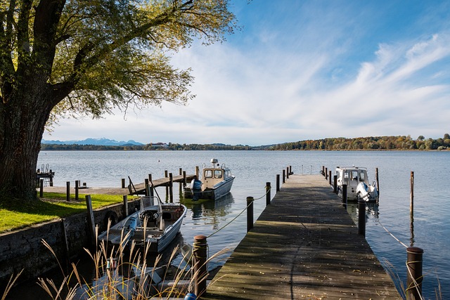 随处可见 随处可见