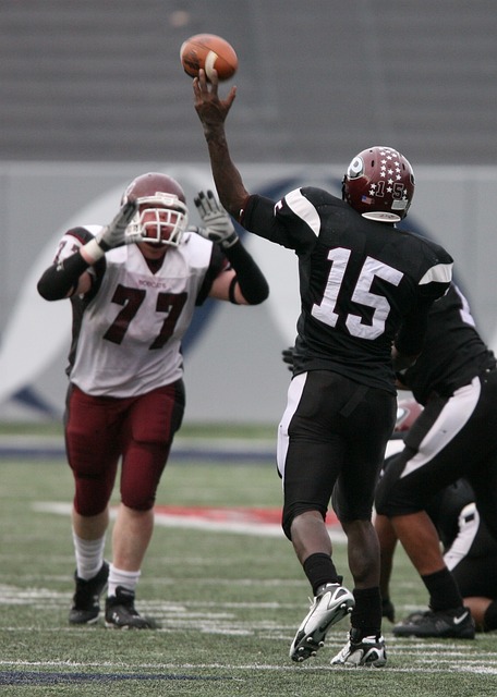 来西亚羽毛 来西亚羽毛